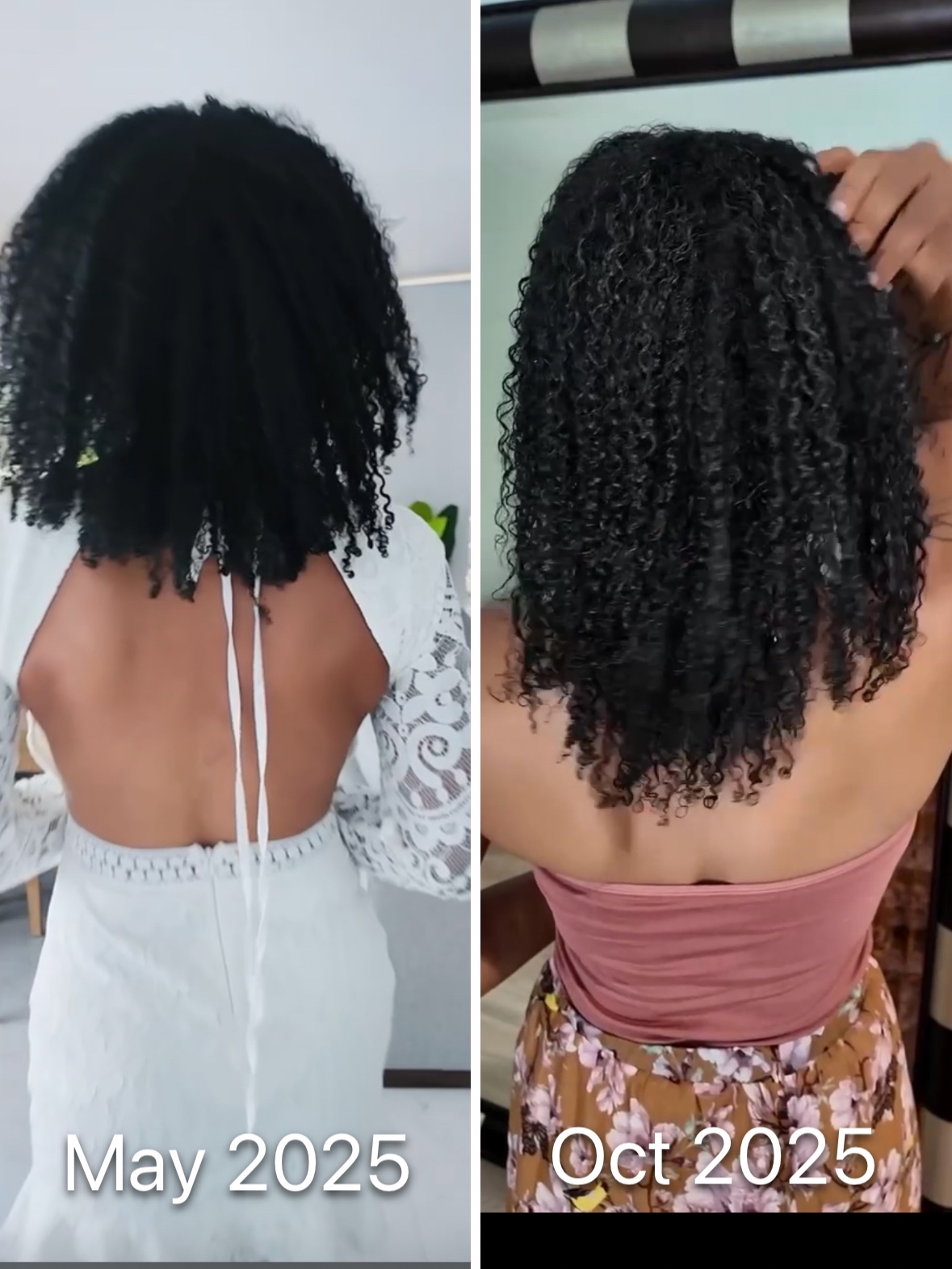 Customer hair growth from May 2025 to October 2025 after using JoyCurl Oil